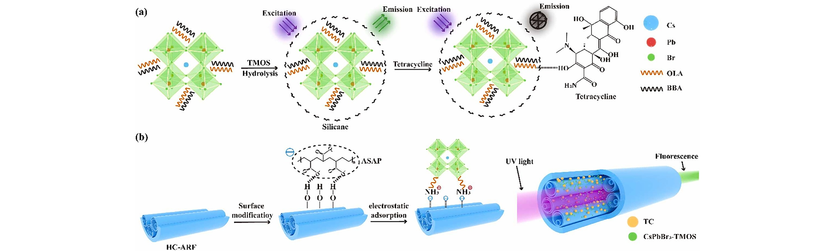 Ultrasensitive, High Dynamic Range Real-time Tetracycline Detection via Perovskite-functionalized Hollow-core Anti-resonant Fiber Sensors