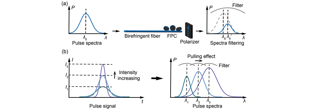 Revealing the Dynamic Spectral-Reshaping Effect Induced by the Nonlinear Polarization Evolution in Mode-Locked Soliton Fiber Lasers