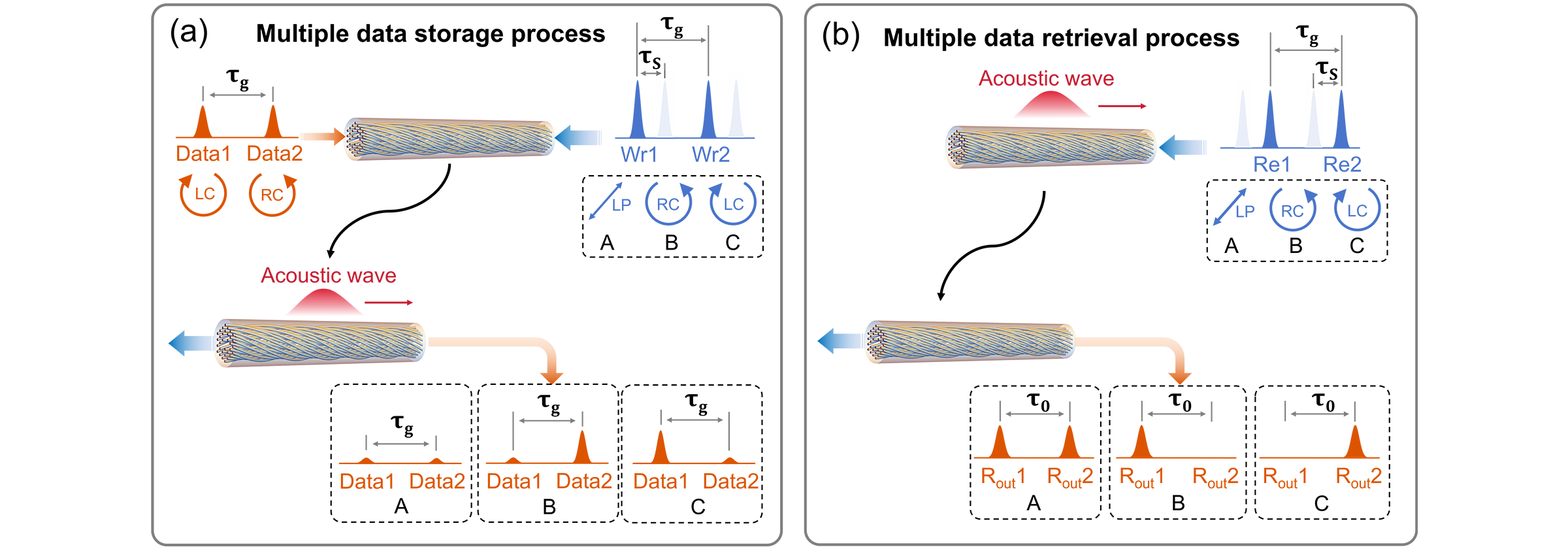 Two-Spin-Multiplexed Optoacoustic Light Storage in Chiral Photonic Crystal Fiber